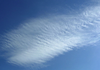 Cirrostratus Nebulosus