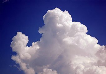 Cloud Genus Cloud Genus