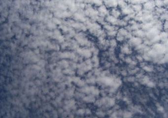 Genus Altocumulus Genus Altocumulus