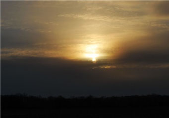 Stratus Translucidus Stratus Translucidus