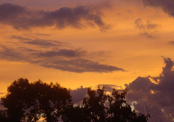 Who Gives Names of Clouds Who Gives Names of Clouds